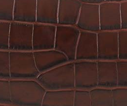 Brown-010