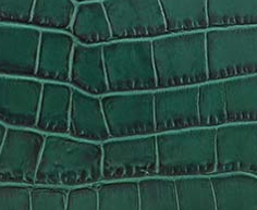 Green-010