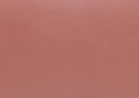 Chestnut Tan-200